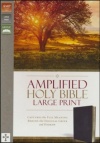 Amplified Large Print Bible - Burgundy onded Leather
